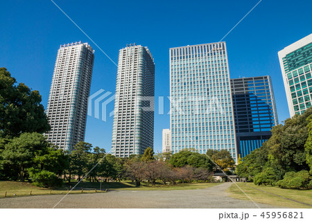 浜離宮恩賜庭園 浜離宮恩賜庭園 45956821