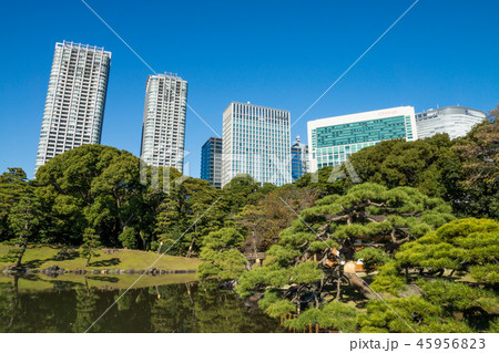 浜離宮恩賜庭園 浜離宮恩賜庭園 45956823