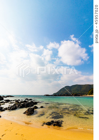 鹿児島県奄美大島笠利町大字用安 45957020