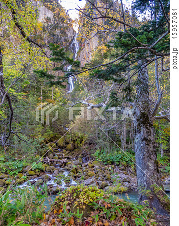 北海道 層雲峡 銀河の滝 45957084