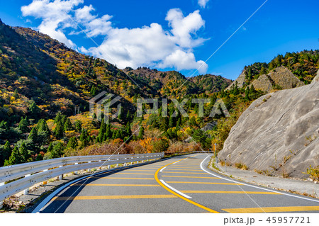 三重県　御在所岳　鈴鹿スカイラインの紅葉 45957721