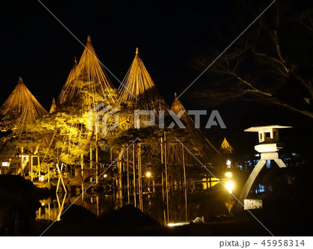 ライトアップされた雪吊りの兼六園 45958314
