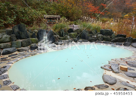 日本の秘湯　野地温泉ホテル 45958455