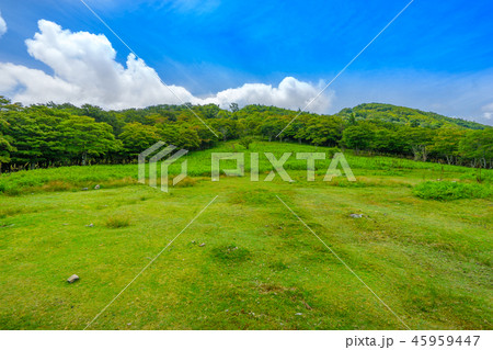 台高山脈の奥座敷！明神平の大草原（三重県松阪市飯高町）※作品コメント欄に撮影位置あり 45959447