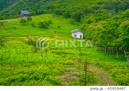 台高山脈の奥座敷！明神平の避難小屋（三重県松阪市飯高町）※作品コメント欄に撮影位置あり 45959467