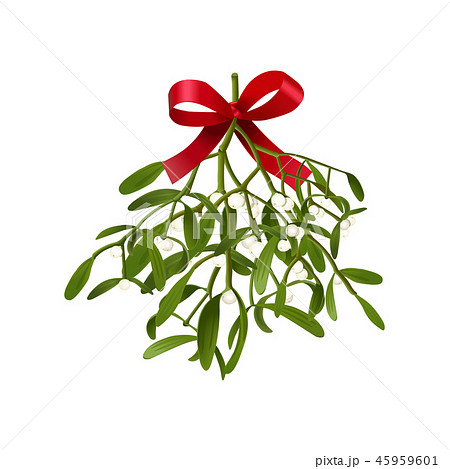 Mistletoe Vector Illustration Of Hanging Fluffyのイラスト素材