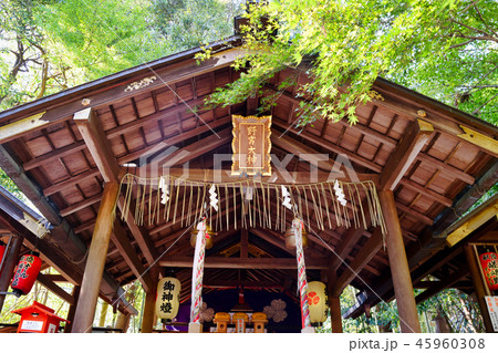 野宮神社 野宮大神(京都) 野宮神社 野宮大神(京都) 45960308