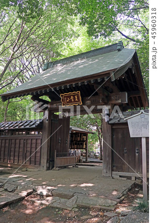 能満寺 45960318