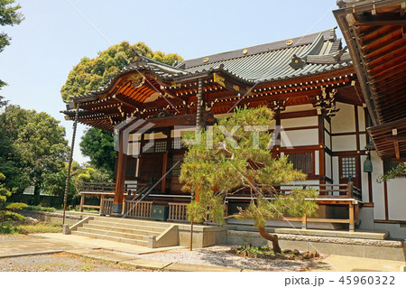 能満寺 45960322