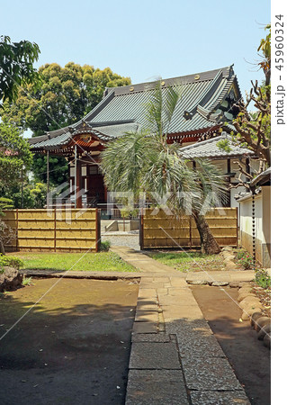 能満寺 45960324