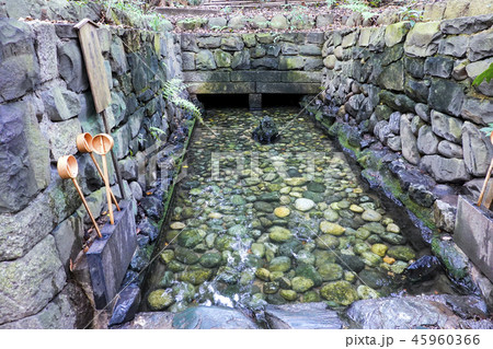 清水社の湧水 45960366
