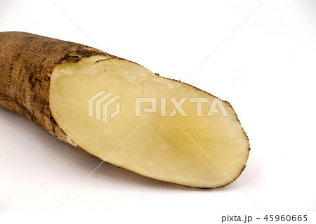 ヤーコン 45960665