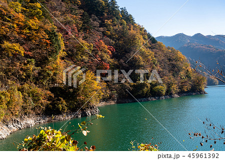 奥多摩湖 小河内ダム 湖畔の紅葉 奥多摩湖 小河内ダム 湖畔の紅葉 45961392