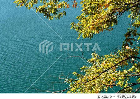 奥多摩湖 小河内ダム 湖畔の紅葉 奥多摩湖 小河内ダム 湖畔の紅葉 45961398