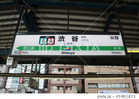 渋谷駅の駅名表示版(湘南新宿ライン南行) 渋谷駅の駅名表示版(湘南新宿ライン南行) 45961823
