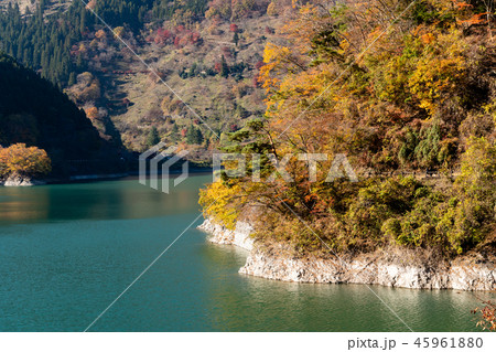 奥多摩湖 小河内ダム 湖畔の遊歩道 奥多摩湖 小河内ダム 湖畔の遊歩道 45961880