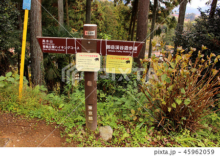 青梅線軍畑駅前にる道路標識と注意書き(2) 青梅線軍畑駅前にる道路標識と注意書き(2) 45962059