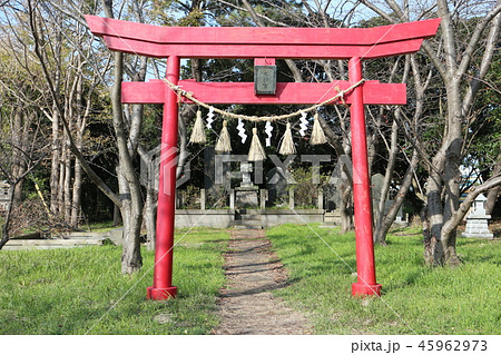 水神宮(袖ケ浦市久保田） 45962973