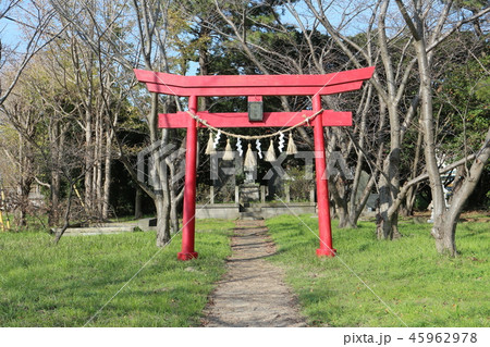 水神宮(袖ケ浦市久保田) 水神宮(袖ケ浦市久保田) 45962978