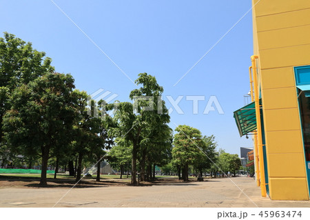 さいたま市ステラタウンの風景 さいたま市ステラタウンの風景 45963474