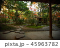 九州　観光地　おすすめ　福岡県　福岡市　楽水園　日本式庭園　紅葉 45963782