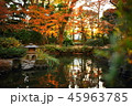 九州　観光地　おすすめ　福岡県　福岡市　楽水園　日本式庭園　紅葉 45963785