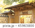 九州　観光地　おすすめ　福岡県　福岡市　楽水園　日本式庭園　紅葉 45963800
