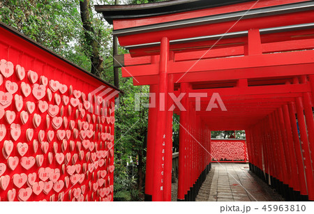 愛知県 犬山 三光稲荷神社の写真素材