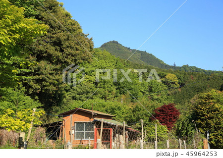 神奈川県厚木市の鐘ヶ嶽(かねがたけ)を麓から見る 神奈川県厚木市の鐘ヶ嶽(かねがたけ)を麓から見る 45964253