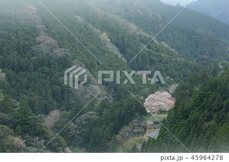 牛代（うしんしろ）の水目桜　遠望 45964278