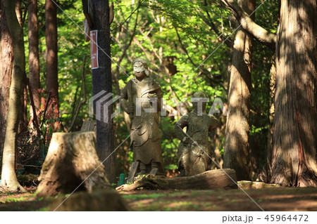 神奈川県厚木市の鐘ヶ嶽(かねがたけ)の山頂にある石仏 神奈川県厚木市の鐘ヶ嶽(かねがたけ)の山頂にある石仏 45964472