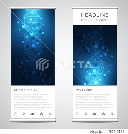 Roll up banner stands with DNA strand and molecular structure. Genetic engineering or laboratory 45964561