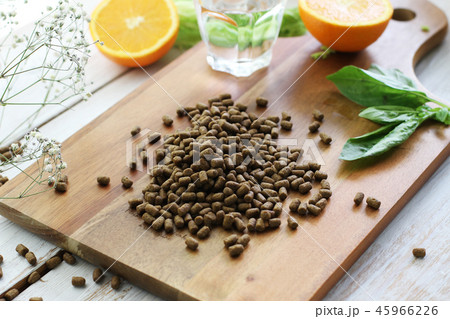 ドッグフード 45966226