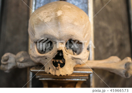 Human skulls and bones in a church Sedlec Ossuary  45966573