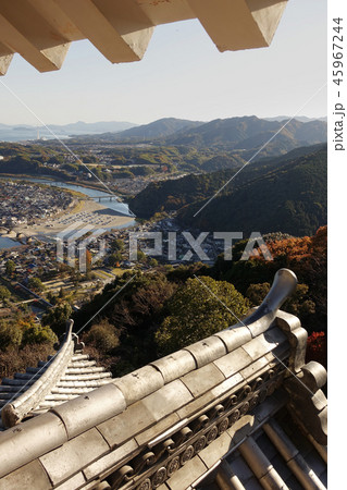 岩国（岩国城からの眺め） 45967244