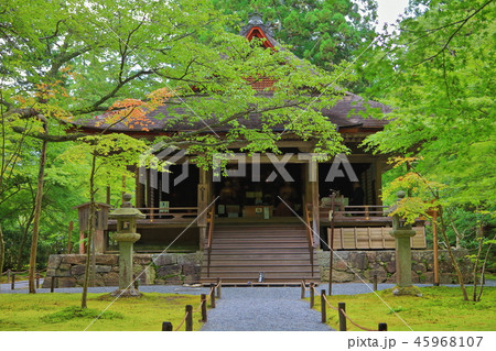 新緑の京都大原三千院　往生極楽院 45968107