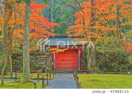 紅葉の京都大原三千院 朱雀門 紅葉の京都大原三千院 朱雀門 45968110