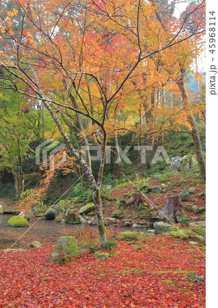 紅葉の京都大原三千院　 45968114