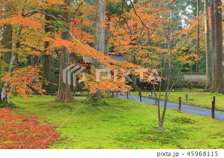 紅葉の京都大原三千院 朱雀門 紅葉の京都大原三千院 朱雀門 45968115