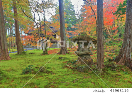 紅葉の京都大原三千院　往生極楽院 45968116