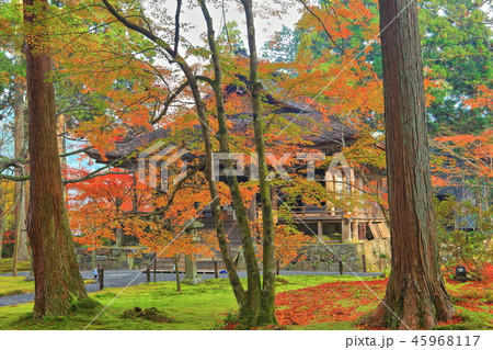 紅葉の京都大原三千院　往生極楽院 45968117