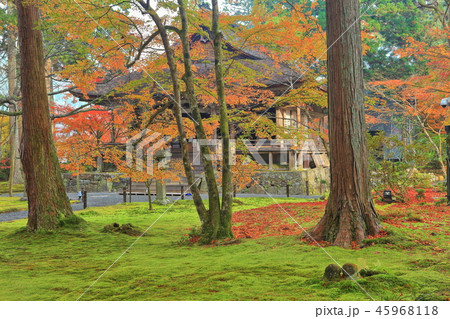 紅葉の京都大原三千院　往生極楽院 45968118