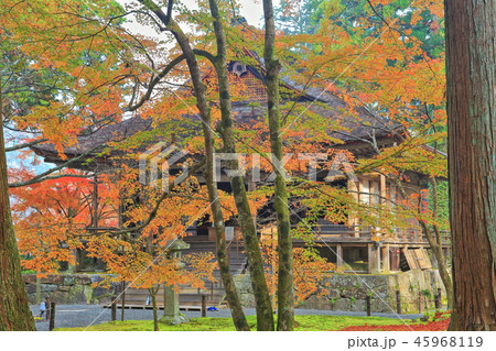 紅葉の京都大原三千院 往生極楽院 紅葉の京都大原三千院 往生極楽院 45968119