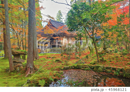 紅葉の京都大原三千院　往生極楽院 45968121