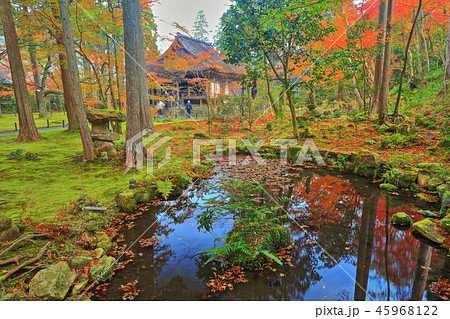 紅葉の京都大原三千院　往生極楽院 45968122