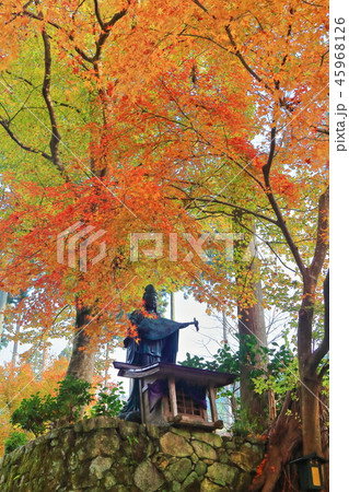 紅葉の京都大原三千院　弁財天 45968126