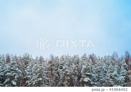 Snowy winter landscape Snowy winter landscape 45968402