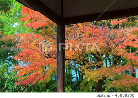紅葉の宝泉院（京都大原） 45969200