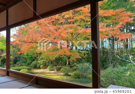 紅葉の宝泉院（京都大原） 45969201