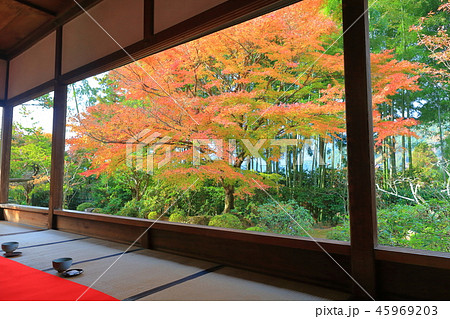 紅葉の宝泉院（京都大原） 45969203